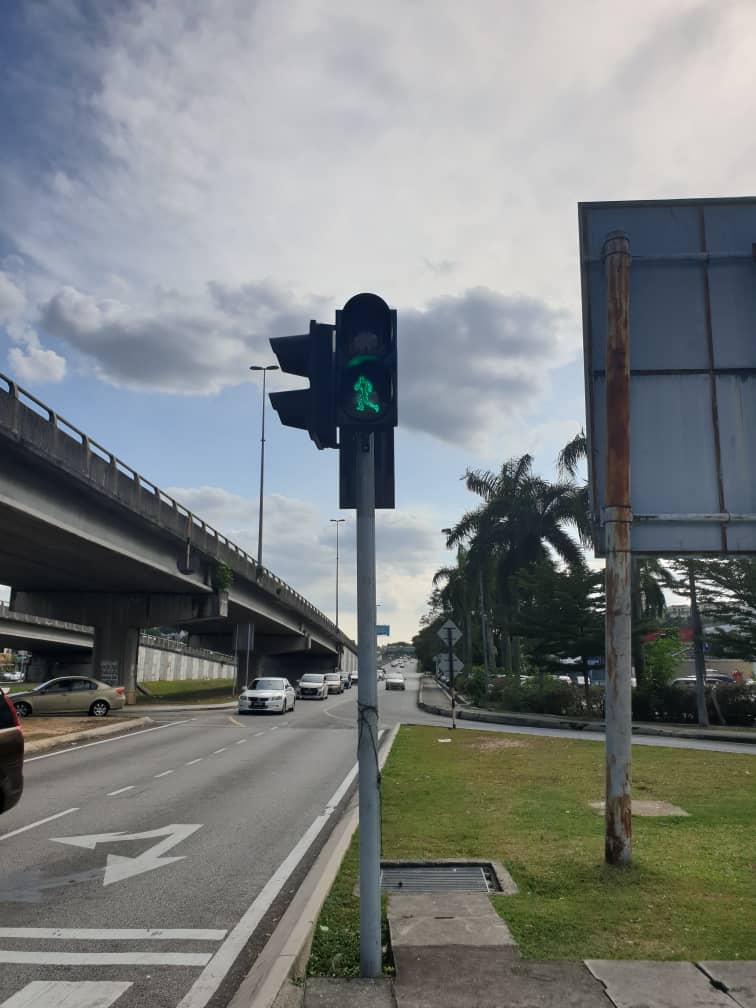 red+dynamic green pedestrian traffic light project