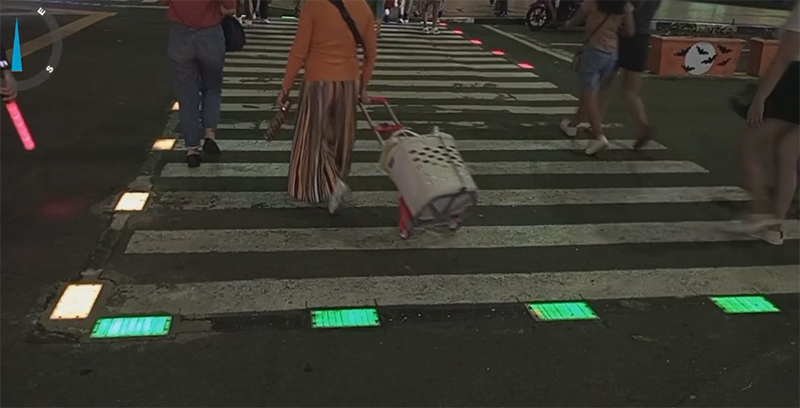 smart zebra xrossing led brick light